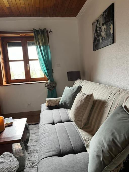 Maison Ray Sur Saone Ray-sur-Saone المظهر الخارجي الصورة