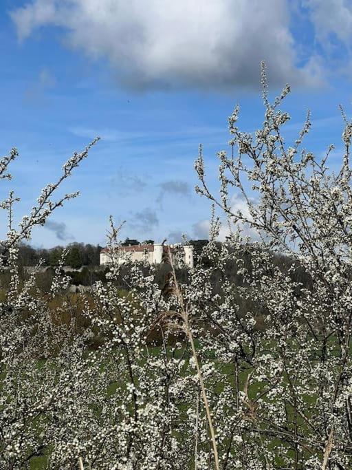 Maison Ray Sur Saone Ray-sur-Saone المظهر الخارجي الصورة